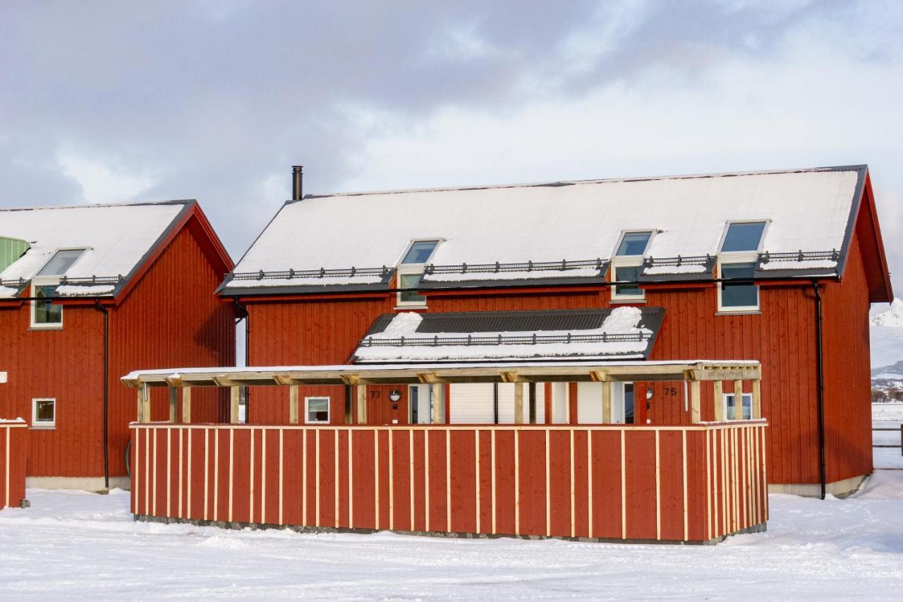 Brand New Nappstraumen Seaview Cabin Villa Gravdal  Bagian luar foto